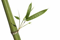 about