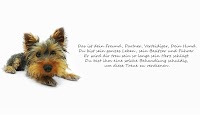 about