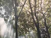 about