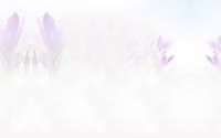 about